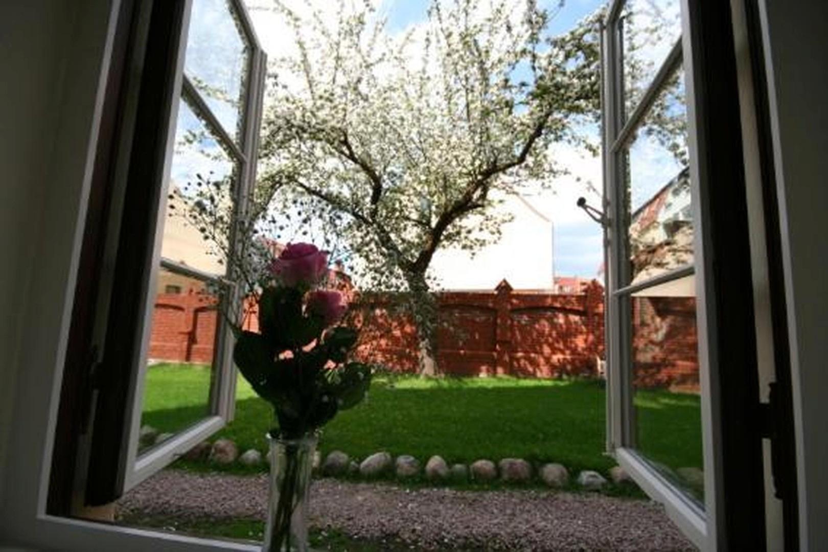 Blick in den Garten mit Mauer