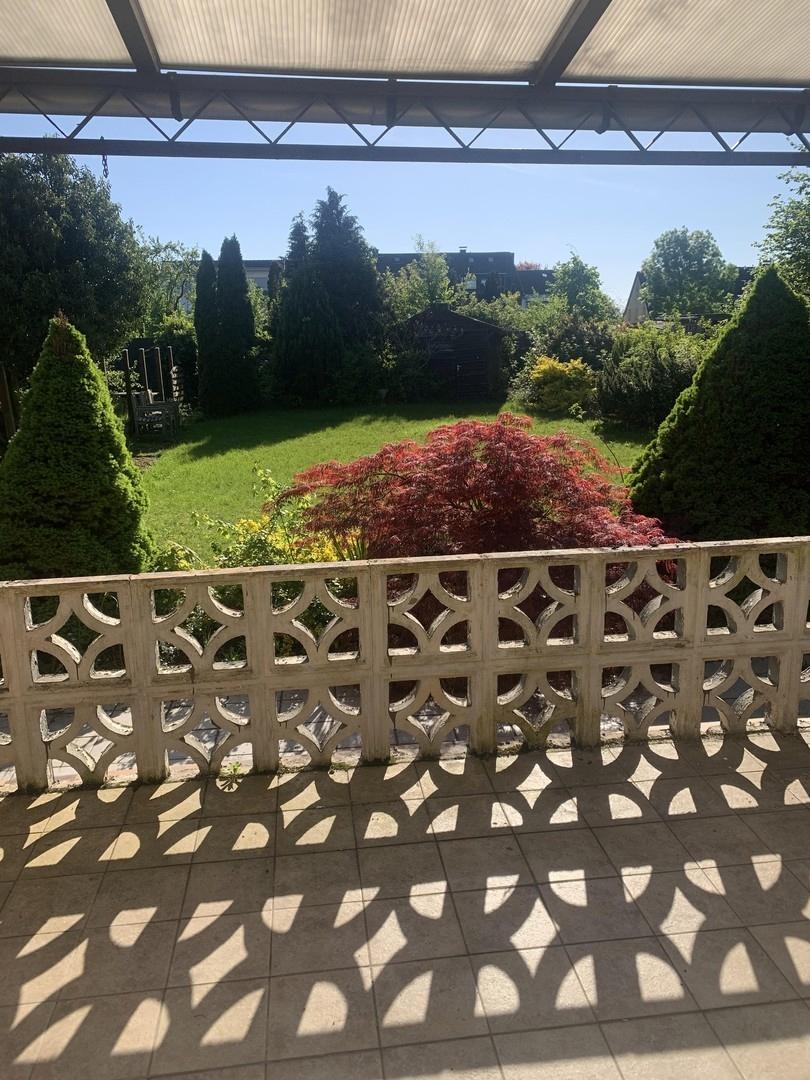 Blick in Garten