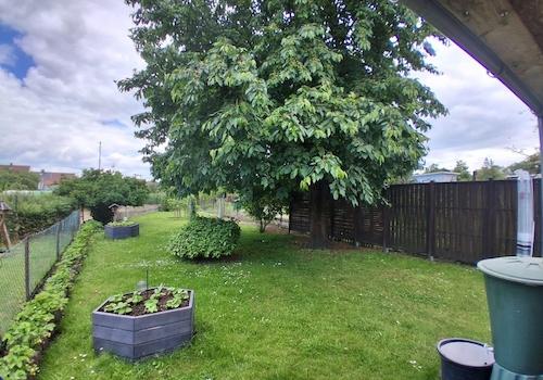 Garten_3