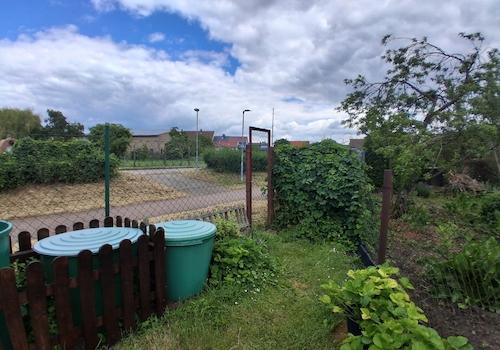 Garten_4