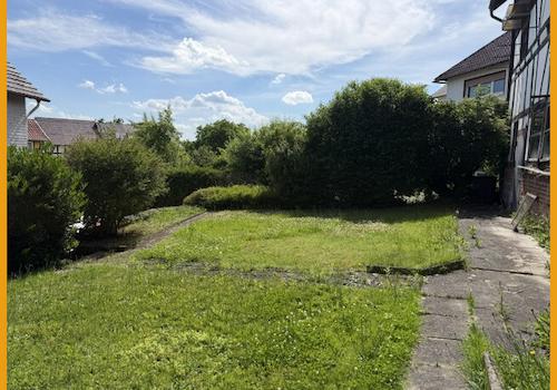 Blick in den Garten