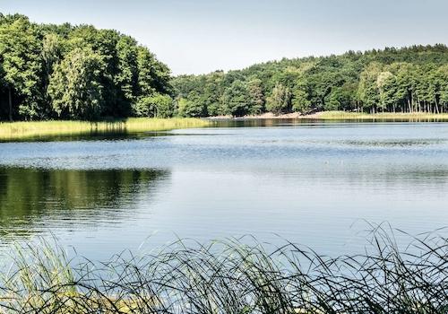 Grunewaldsee