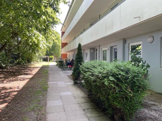 Außenansicht 2