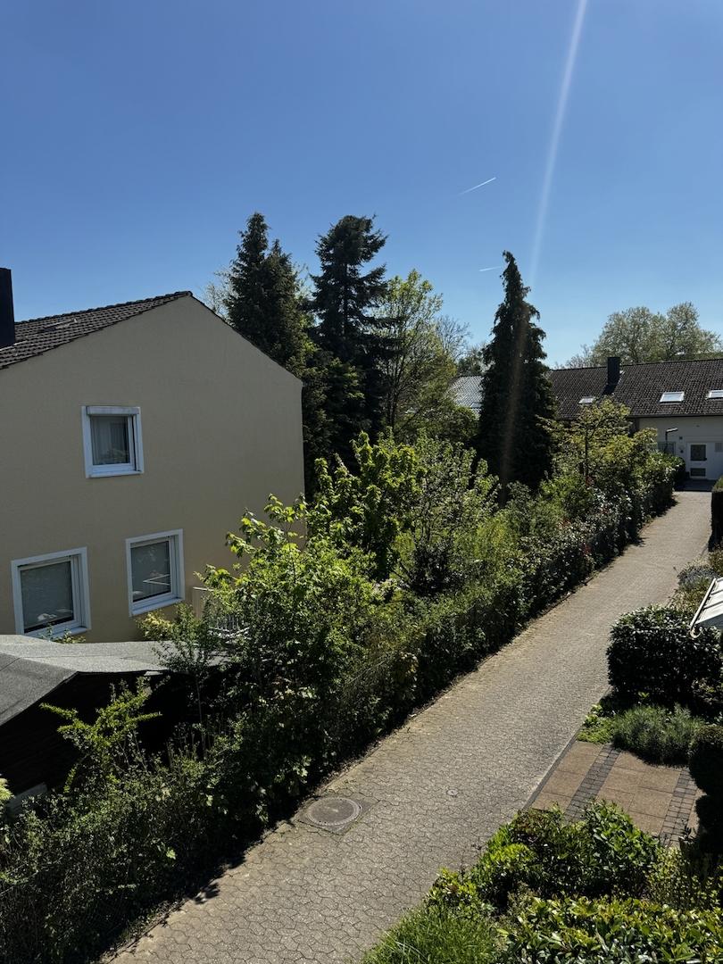 Umgebung