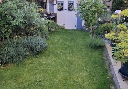 Garten mit Geräteschuppen