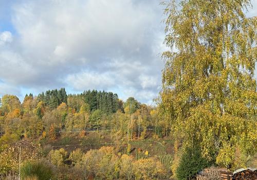 Weitblick  