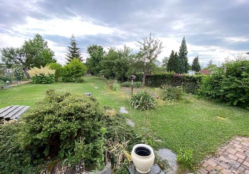 Blick in den großen Garten