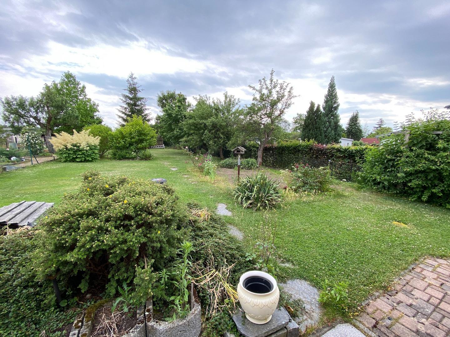 Blick in den großen Garten