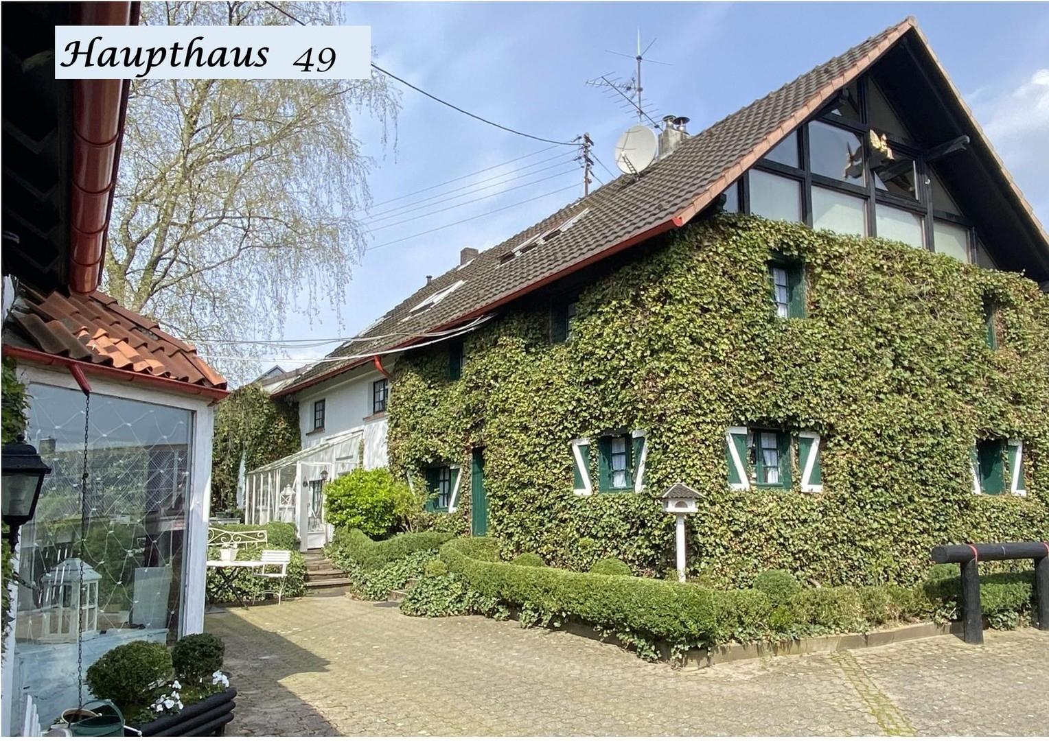 Haupthaus 49