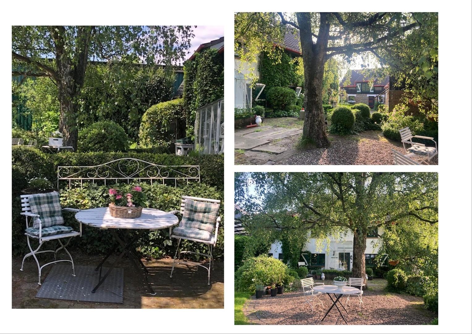 Innenhof-Garten 1