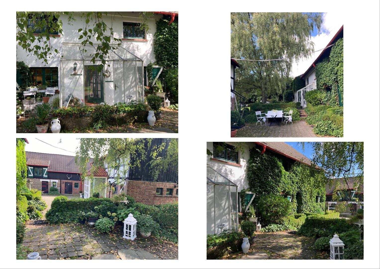 Innenhof-Garten 2