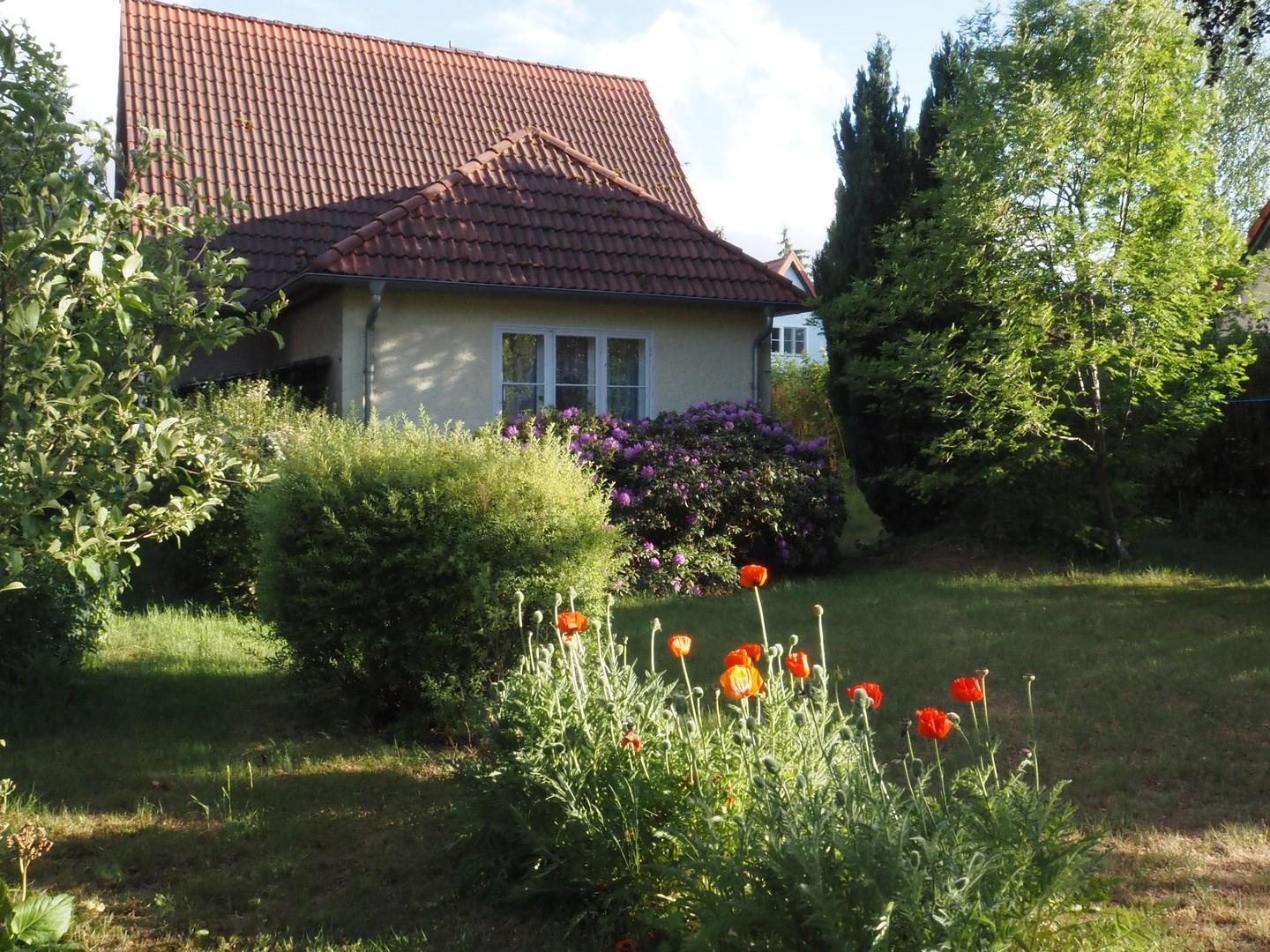 Sommeransicht