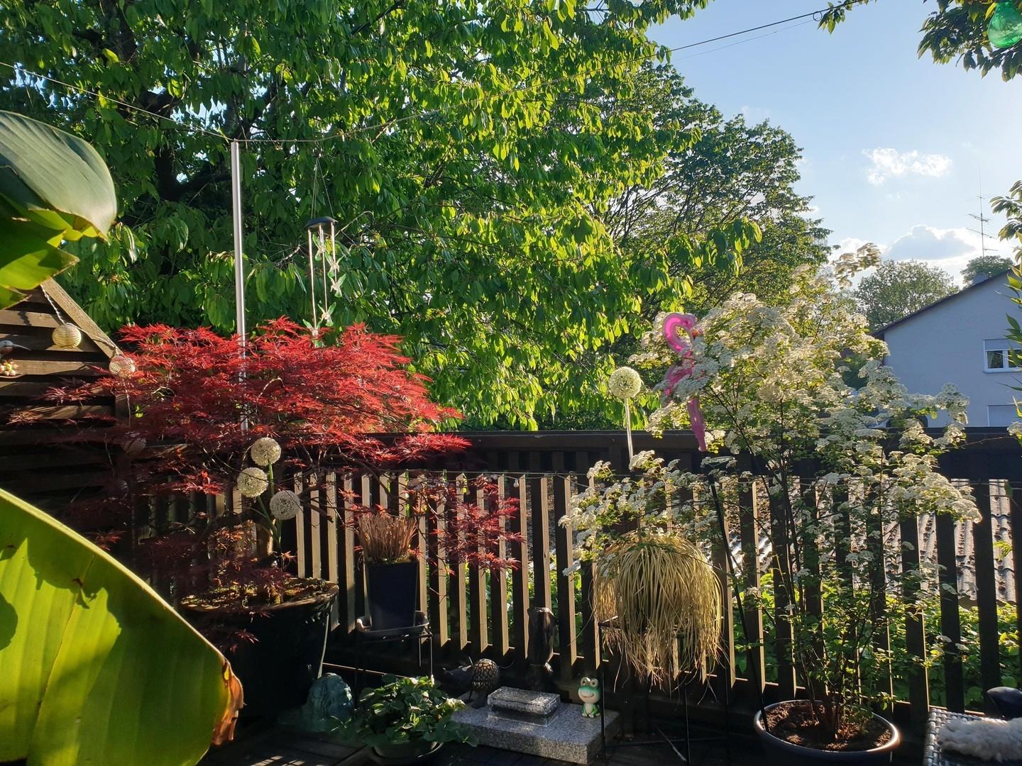 Dachterrasse 4