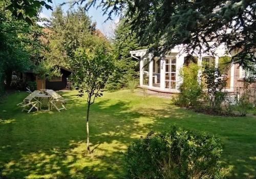 Blick in den Garten