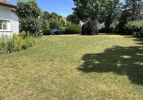 Garten im Sommer