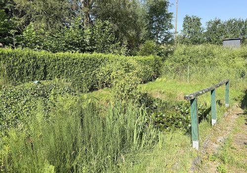 Teich
