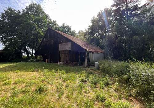 Schuppen