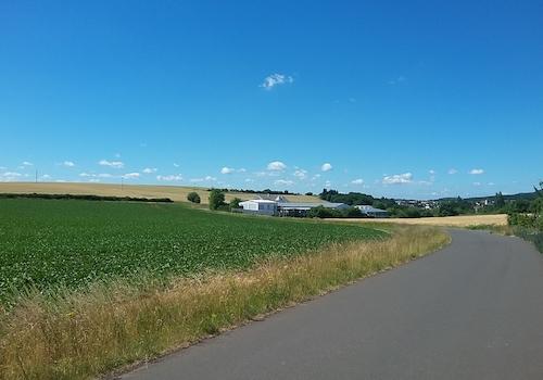 Ansicht Zufahrt