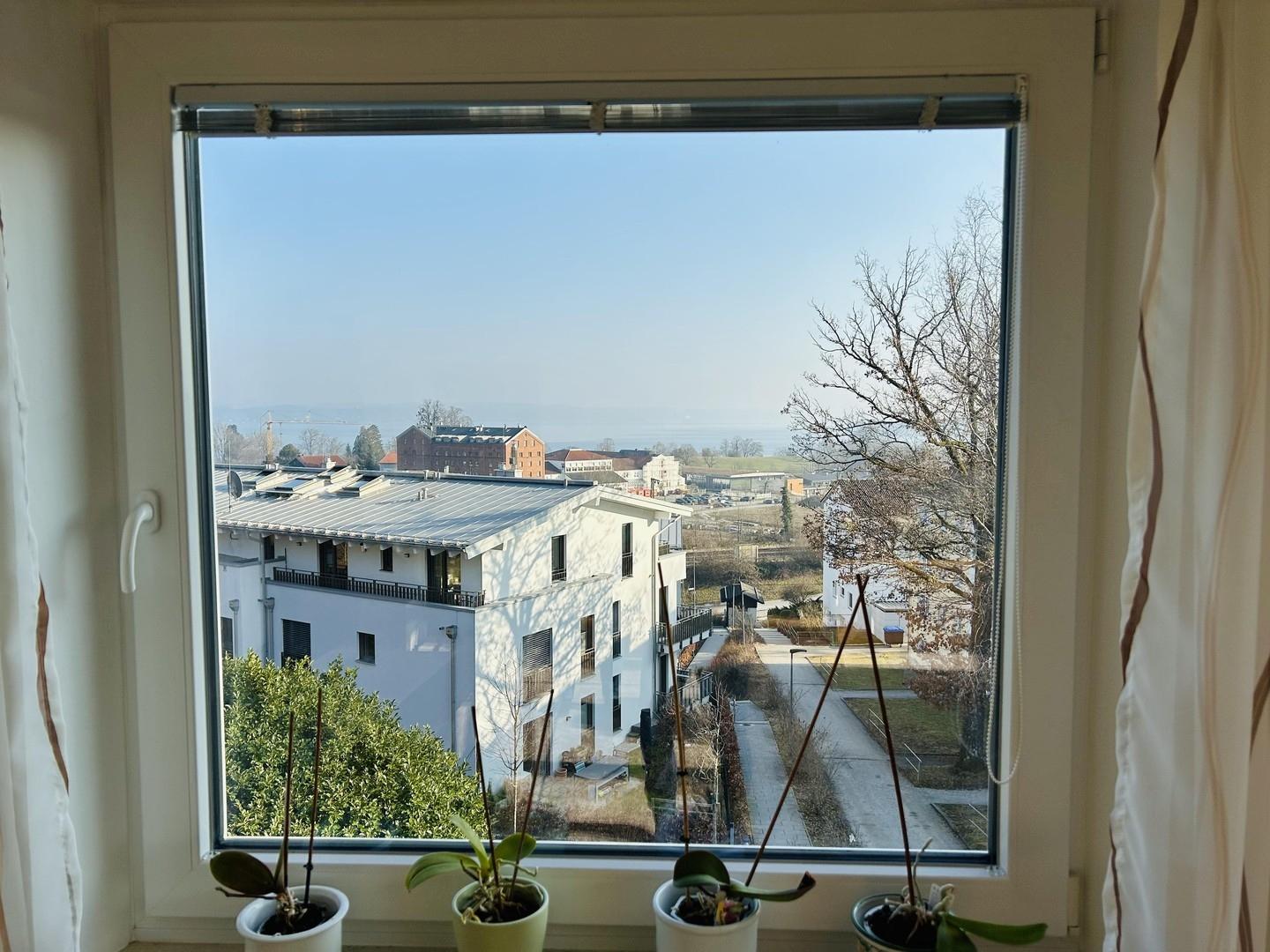 Ausblick