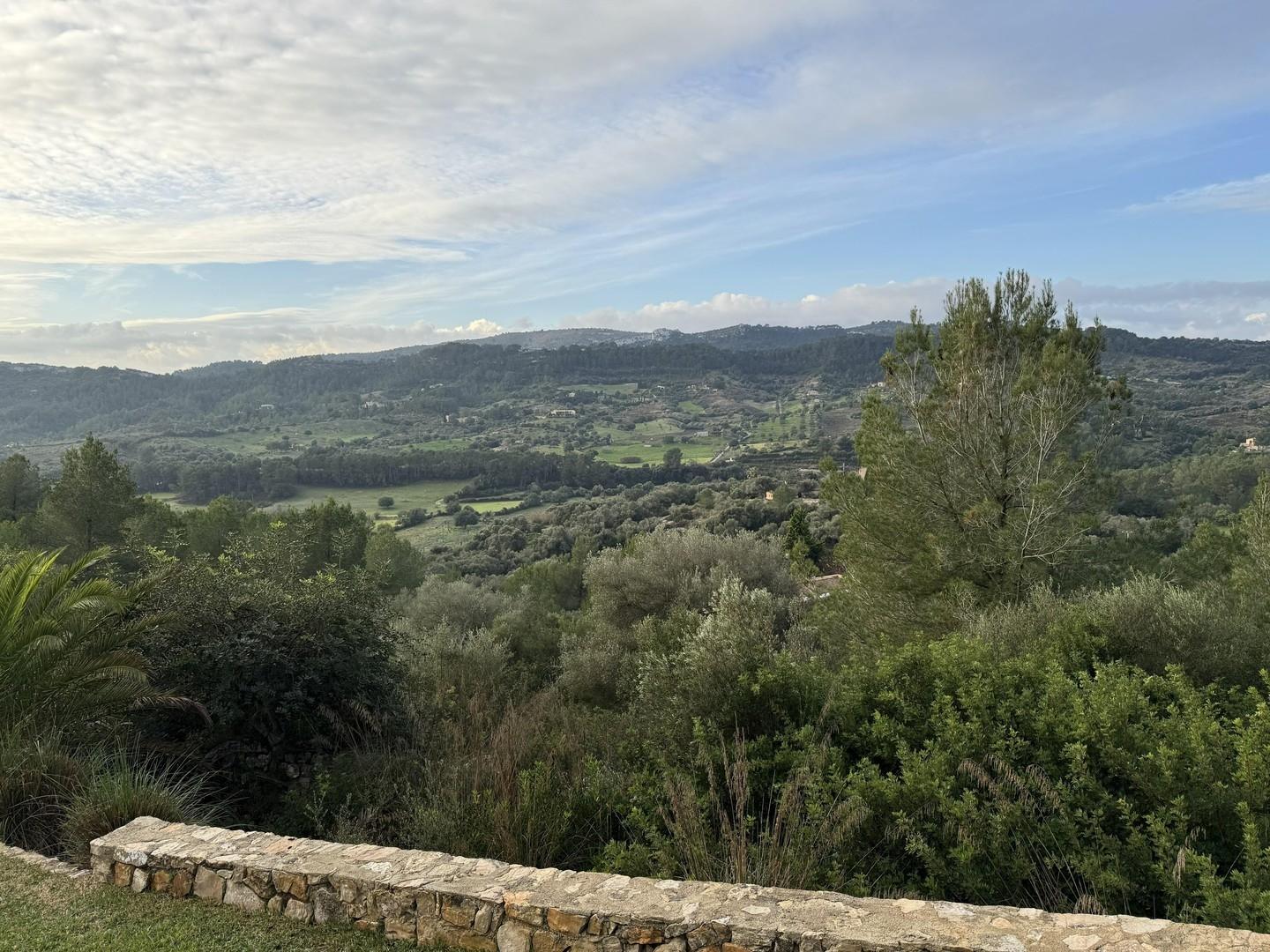 Ausblick
