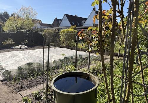 rückwärtiges Haus / Süd-Garten