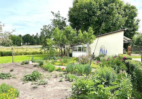 Gartenausschnitt II