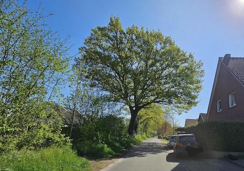 Spielstrasse