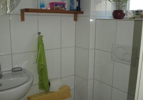 Gäste WC mit Dusche EG