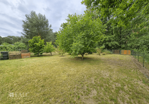 Garten hinten