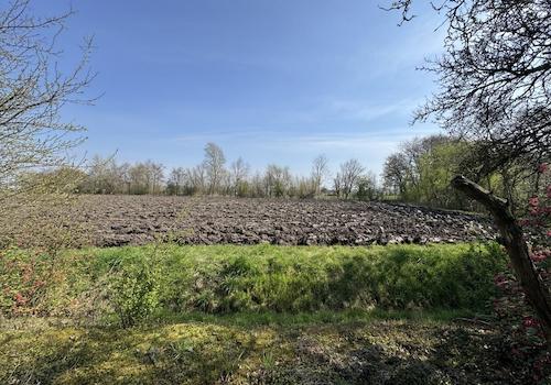 Ansicht aufs Feld