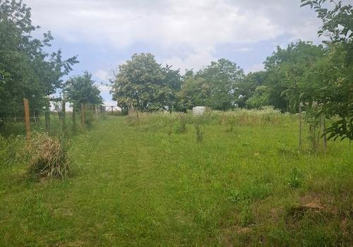 20260617_110820 (Közepes)