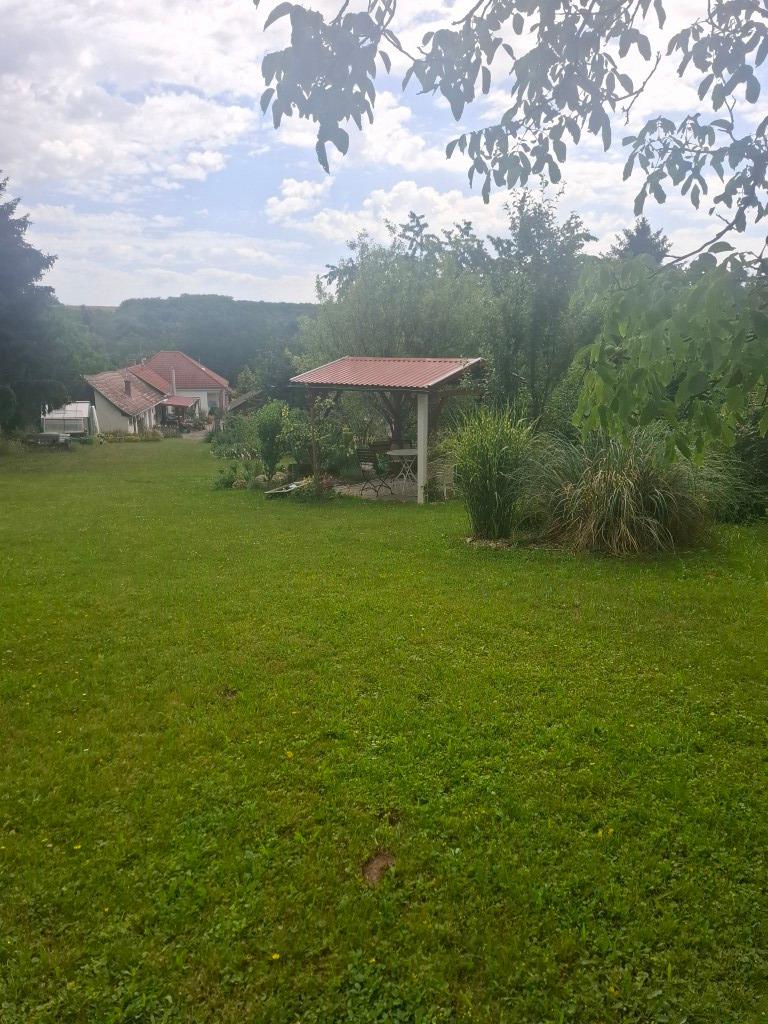 20260617_110835 (Közepes)