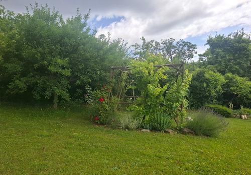20260617_110845 (Közepes)