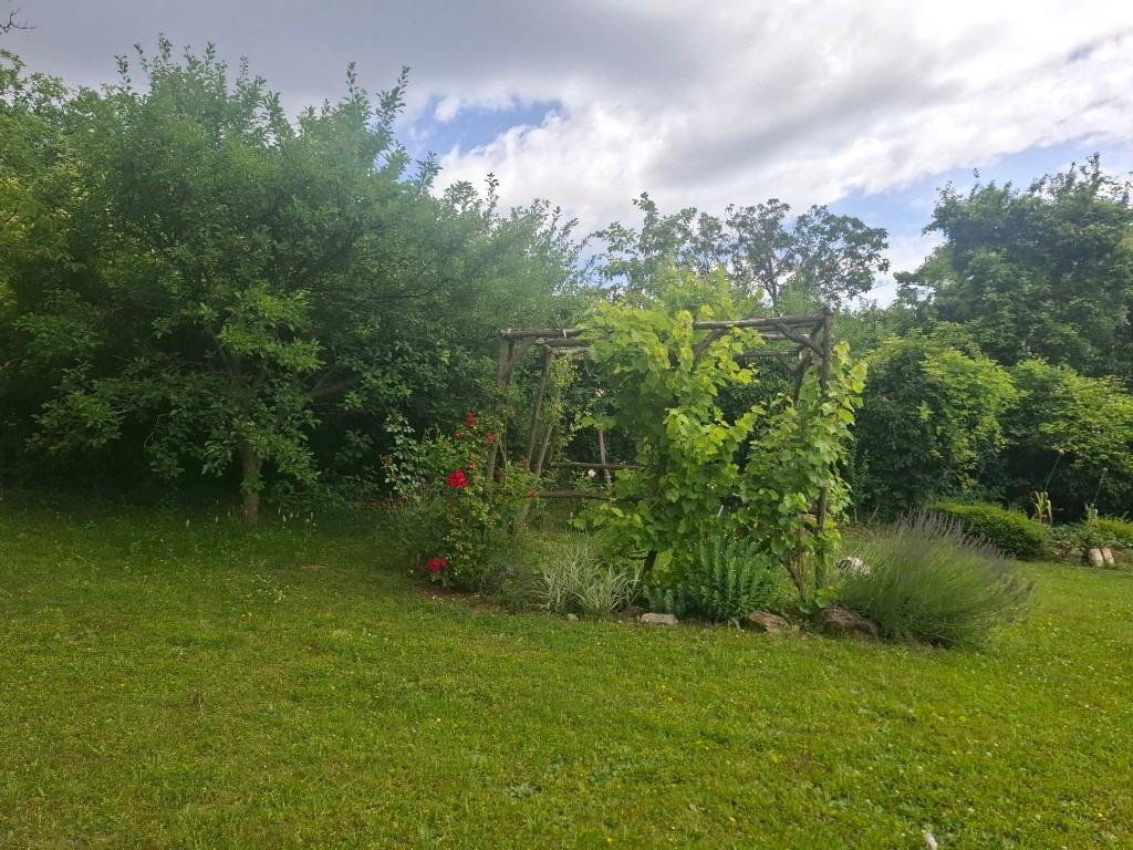 20260617_110845 (Közepes)