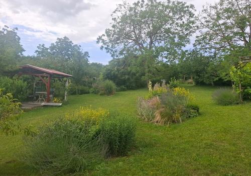 20260617_111058 (Közepes)