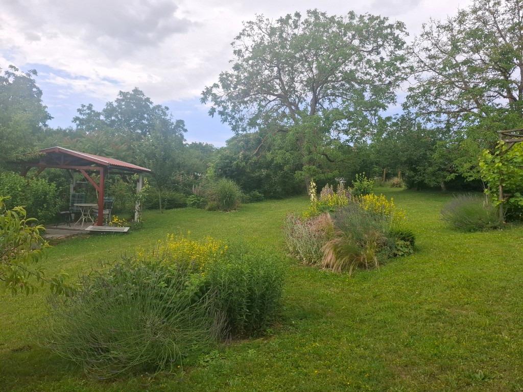 20260617_111058 (Közepes)
