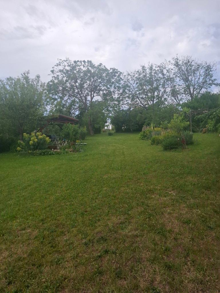 20260617_111144 (Közepes)