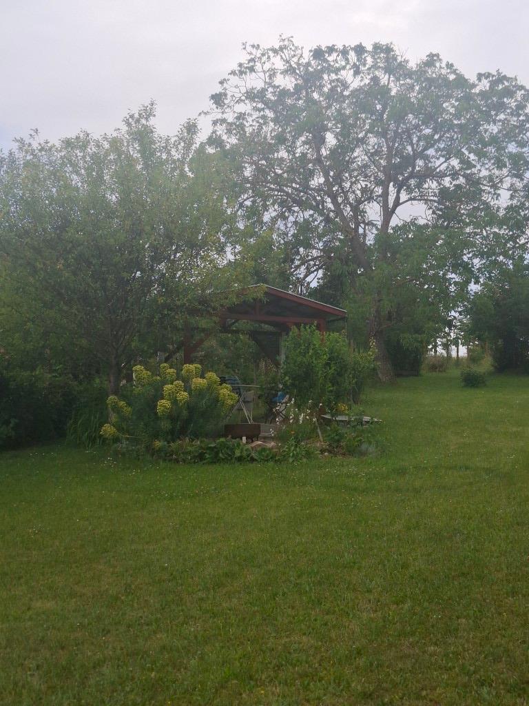 20260617_111202 (Közepes)