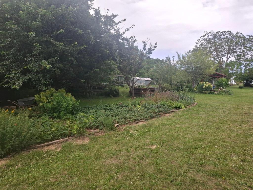 20260617_111227 (Közepes)