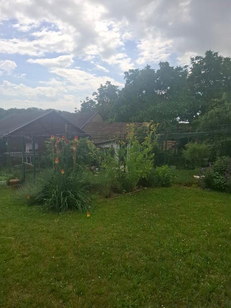 20260617_111237 (Közepes)