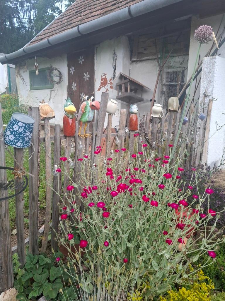 20260617_111312 (Közepes)