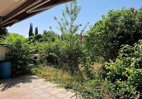 Blick von der Terrasse auf den Garten