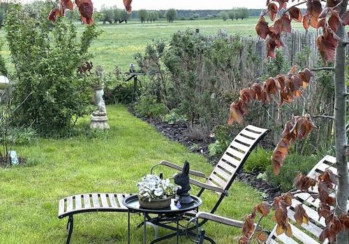 Gartenausschnitt