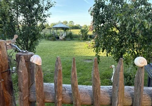 Blick in den hinteren Garten