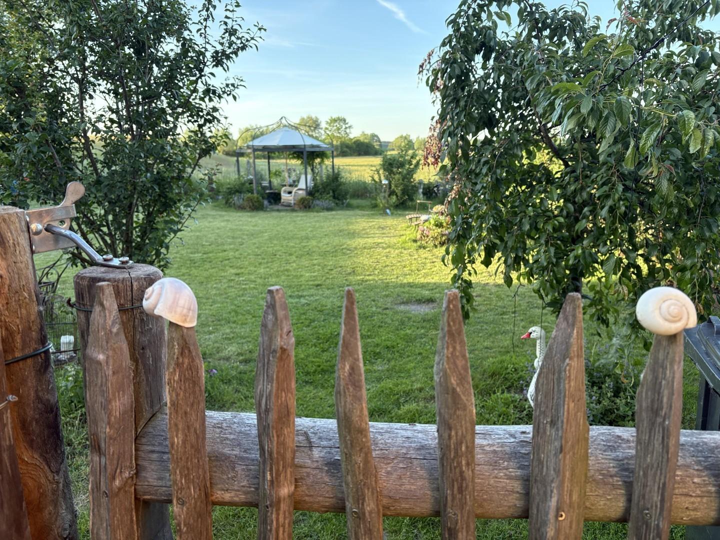Blick in den hinteren Garten
