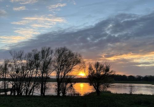 ihr tägliches Abend-Idyll?