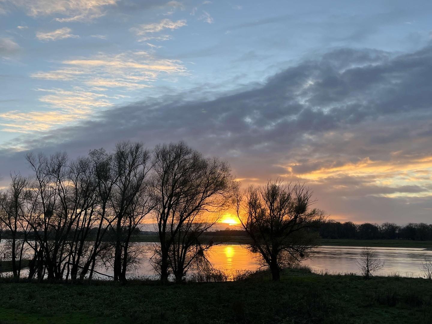 ihr tägliches Abend-Idyll?