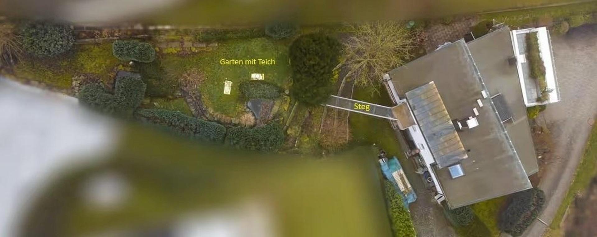 Garten mit Seerosen-Teich