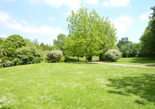 Park in der Nähe