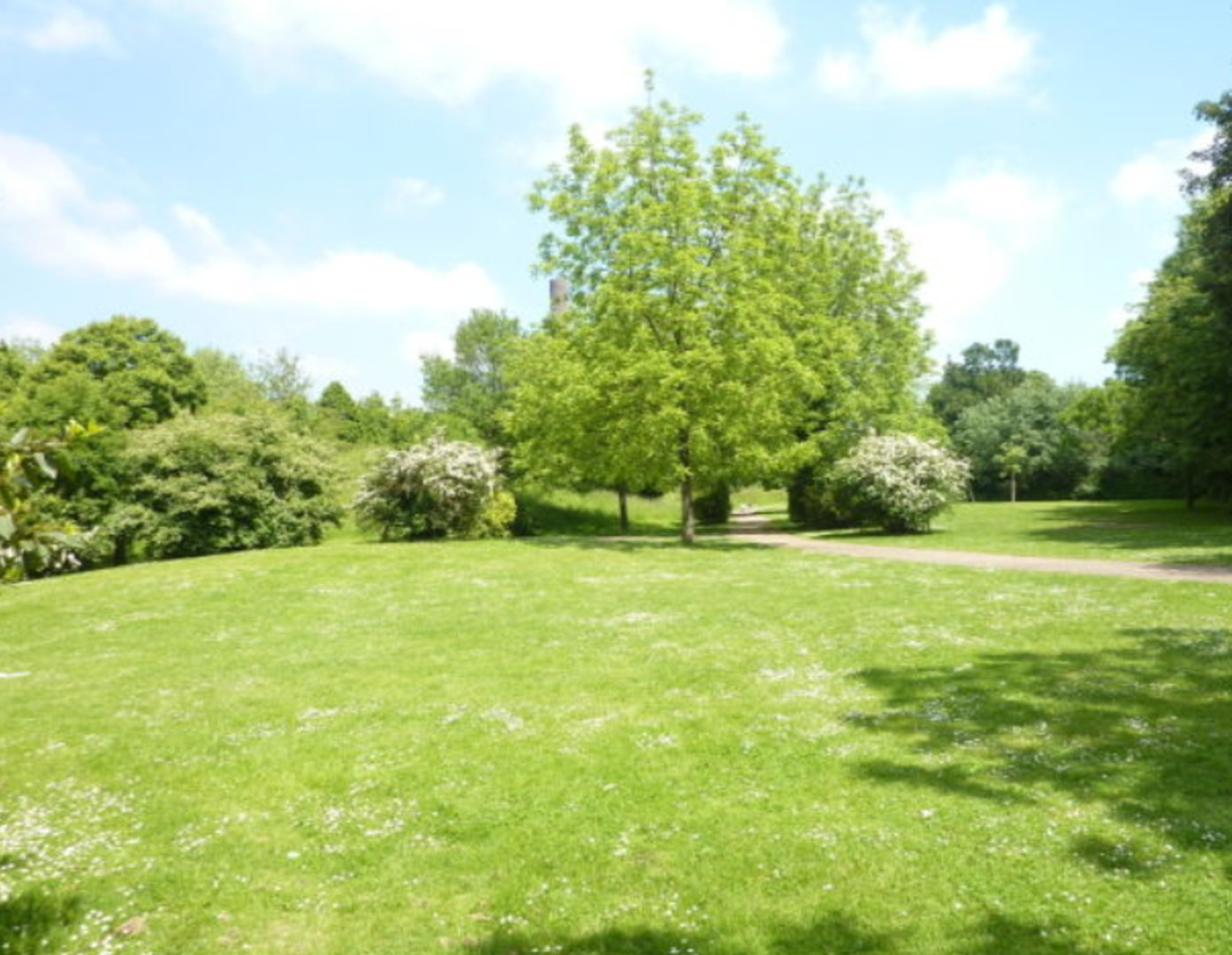 Park in der Nähe